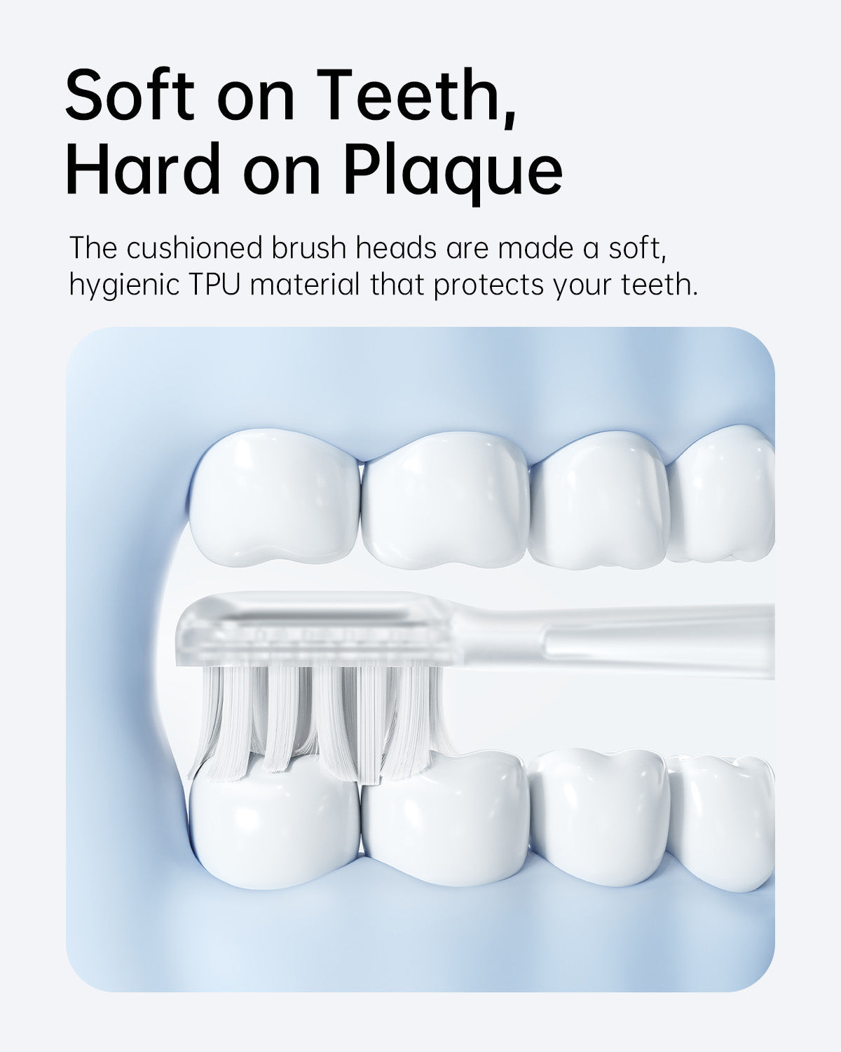 Color_Gum Care Cushioned